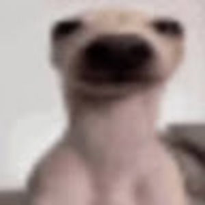 Meet your Posher, Gerson onan